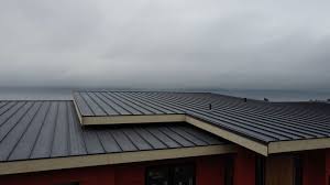 Best Commercial Roofing Services  in Country Squire Lakes, IN